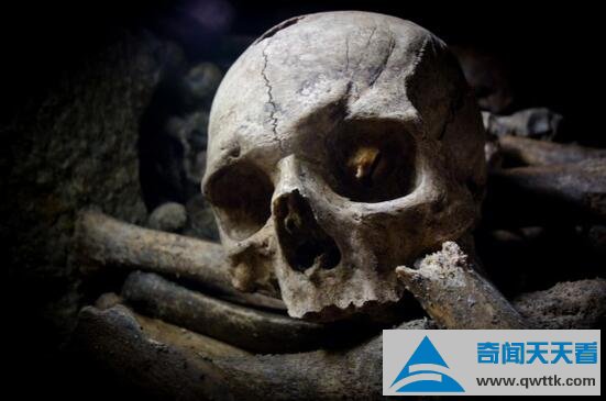 巴黎地下墓穴游客失踪