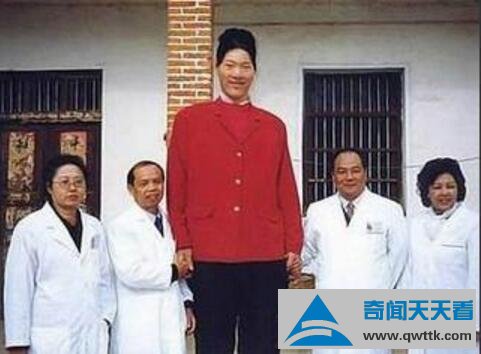 世界上最高的人排行榜