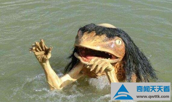 1991年日本河童事件