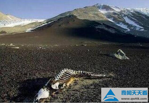 昆仑山深处有人去过吗